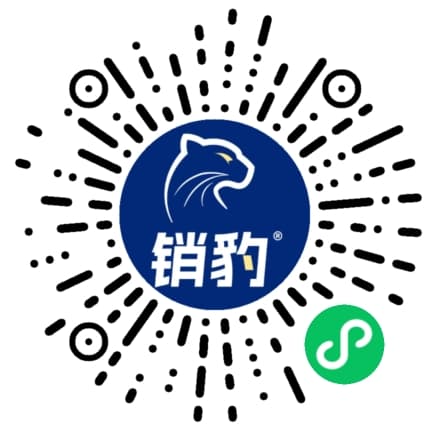 销豹 AI 小程序